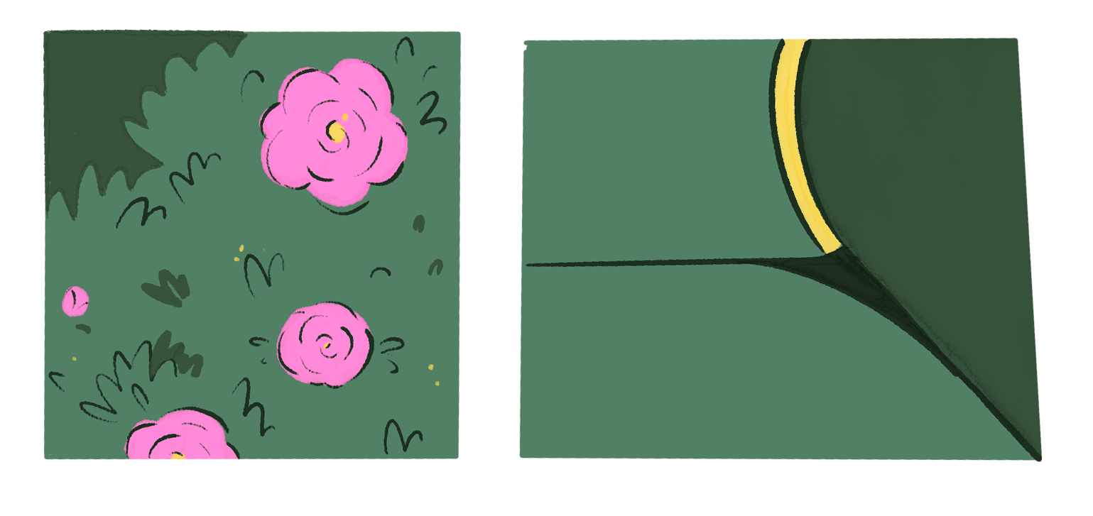 lady-details